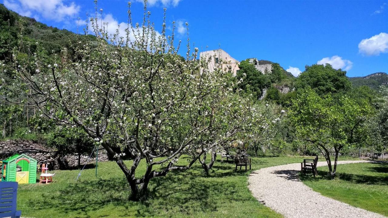 Casa Papaveri Rossi Finale Ligure Luaran gambar